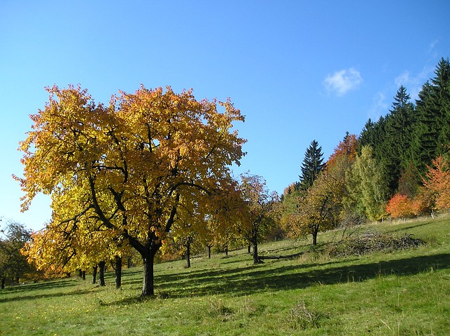 Jizerské hory